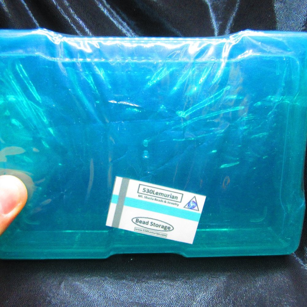 Light Blue Plastic Storage Case